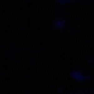 Meet your Posher, Lizbeth